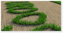 EQUINOX-3D Grass 3D CAD rendering photorealism